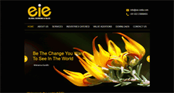 Desktop Screenshot of eie-india.com