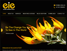 Tablet Screenshot of eie-india.com